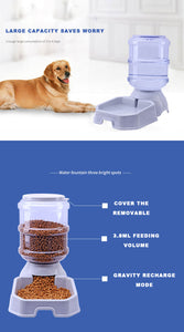 Pet Automatic Feeder Dog Cat Water Drinking Cat Cat Feeding Large Capacity